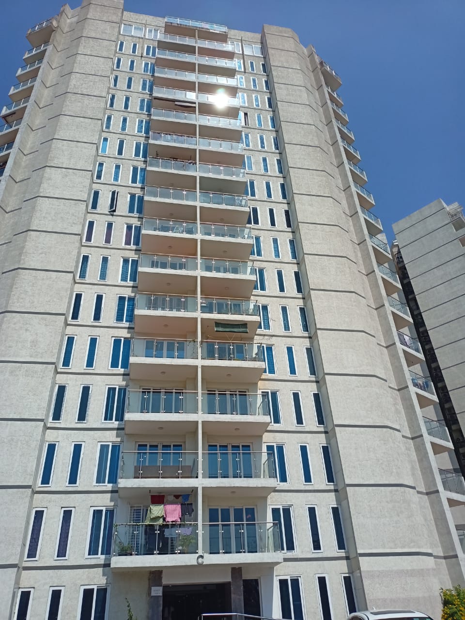 single_image-10